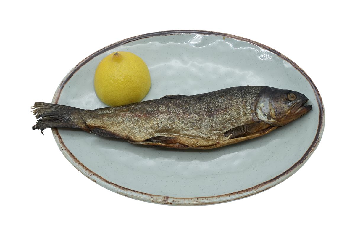 Forel hisə verilmiş